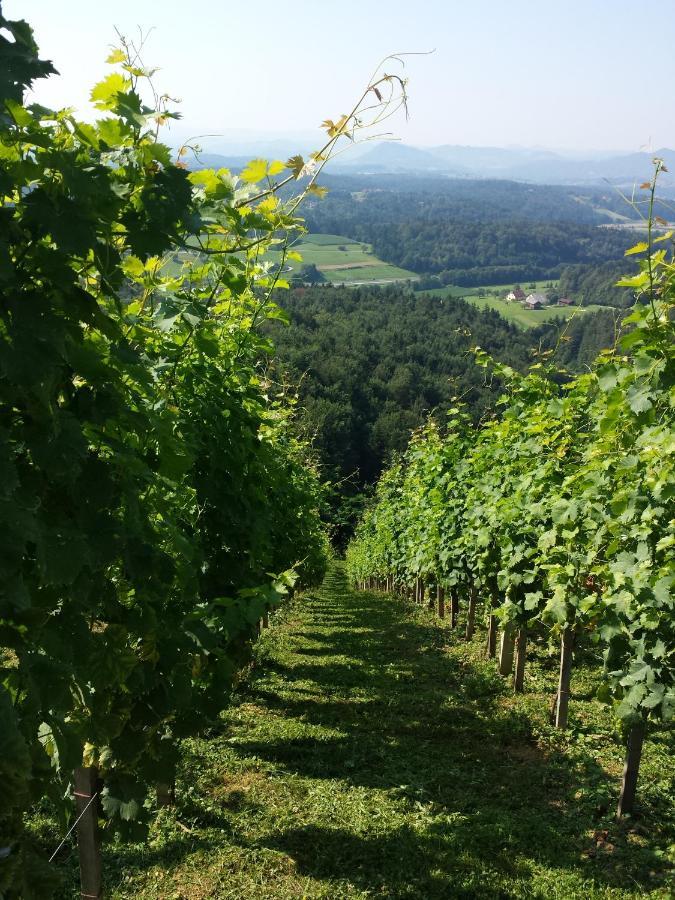 Vineyard Paradise Senica Dramlje Dış mekan fotoğraf